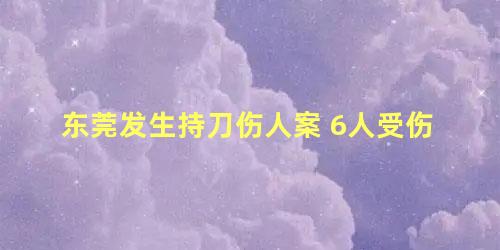 东莞发生持刀伤人案 6人受伤